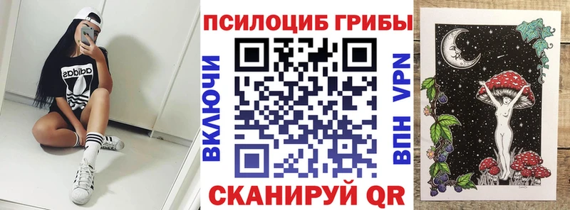 Галлюциногенные грибы GOLDEN TEACHER  Кизляр 